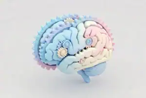 Schéma du modèle SORC et conditionnement opérant Skinner